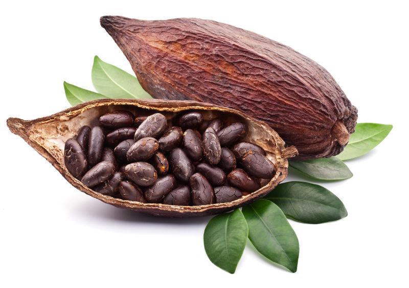 Extracto de cacao 