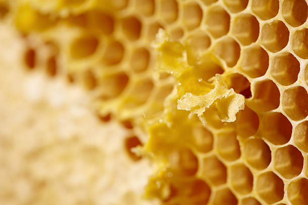 Extracto de propóleo de miel de abeja 